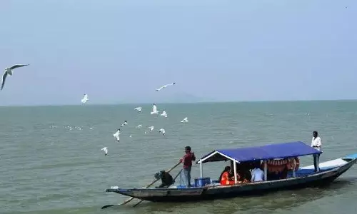 नंदनकानन, चिल्का के लिए पर्यटन विभाग की योजना
