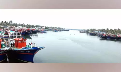 समुद्र में मछली भंडार कम हो गया है; सूखे की मार झेल रहे मछुआरे समुद्र में मछली भंडार कम हो गया है; सूखे की मार झेल रहे मछुआरे