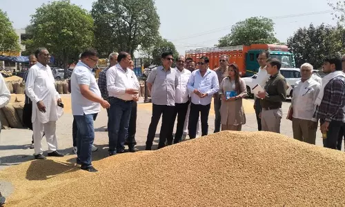 Haryana :  हैफेड एमडी ने किया करनाल अनाज मंडी का निरीक्षण