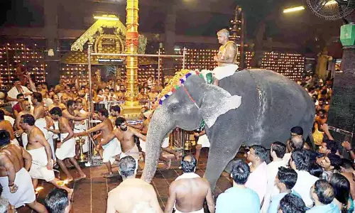 Kerala : गुरुवयूर हाथी अभयारण्य में दादी नंदिनी