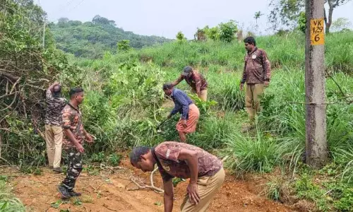 अरलम पुनर्वास क्षेत्र; 1.50 लाख रुपये की लागत से सौर बाड़ का निर्माण। 56 लाख