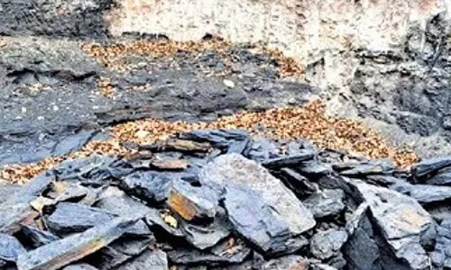 Sundargarh के जंगलों में अवैध कोयला खनन के आरोप में चार गिरफ्तार Sundargarh के जंगलों में अवैध कोयला खनन के आरोप में चार गिरफ्तार