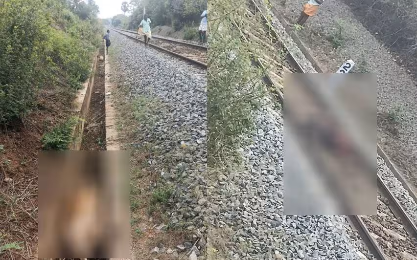Kerala में ट्रेन की भीषण टक्कर में 13 गायों की मौके पर ही मौत, ट्रैक पर बिखरे मिले शव