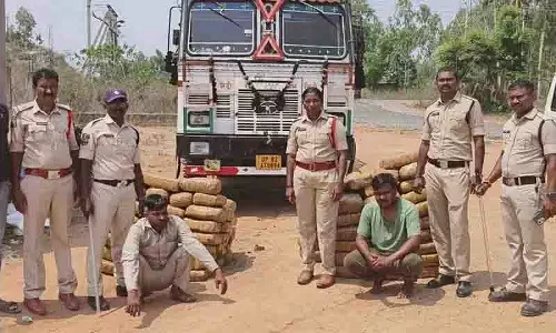 Kothagudem पुलिस ने 3.63 करोड़ रुपये का गांजा जब्त किया