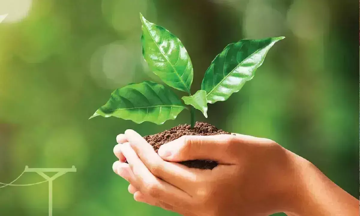 Andhra: हरित ऊर्जा प्रकृति के अस्तित्व की कुंजी है