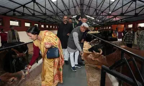 पर्यटन के लिए शिमला के ग्रामीण क्षेत्र को विकसित करने की जरूरत: Guv