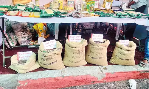 Raitu Mahotsav : अन्नदाताओं के लिए आय का अतिरिक्त स्रोत Raitu Mahotsav : अन्नदाताओं के लिए आय का अतिरिक्त स्रोत
