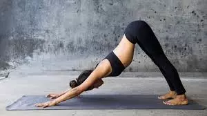 Yoga: बिना जिम जाए दूर हो जाएगी आपकी लटकती हुई तोंद, रोज करें ये योगासन Yoga: बिना जिम जाए दूर हो जाएगी आपकी लटकती हुई तोंद, रोज करें ये योगासन
