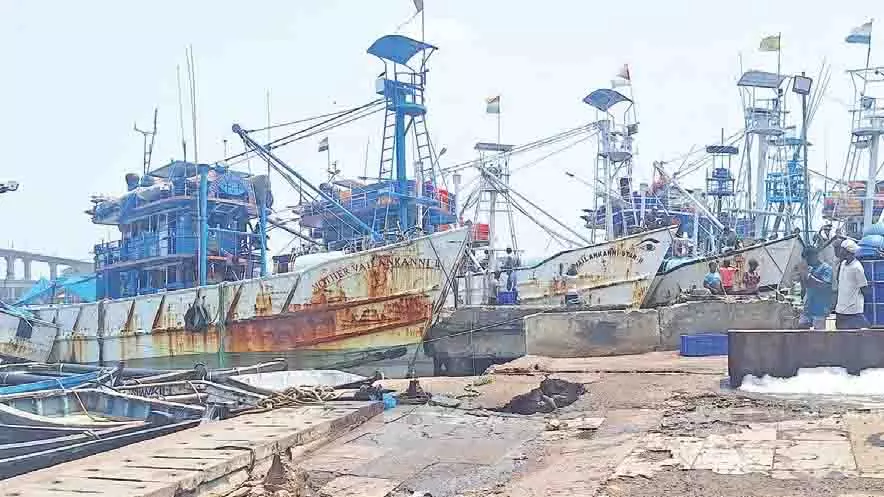 GOA: मालिम पंचायत ने 8 करोड़ रुपये की निजी जेटी का विरोध किया GOA: मालिम पंचायत ने 8 करोड़ रुपये की निजी जेटी का विरोध किया