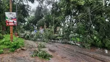 Dhanbad में आंधी-तूफान का कहर, जनजीवन अस्त-व्यस्त Dhanbad में आंधी-तूफान का कहर, जनजीवन अस्त-व्यस्त