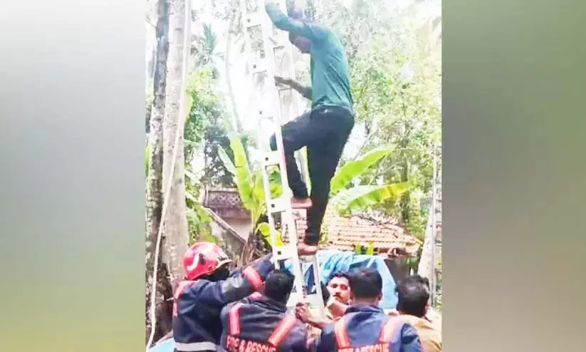 Kerala: नारियल तोड़ते समय नारियल के पेड़ में फसा युवक Kerala: नारियल तोड़ते समय नारियल के पेड़ में फसा युवक