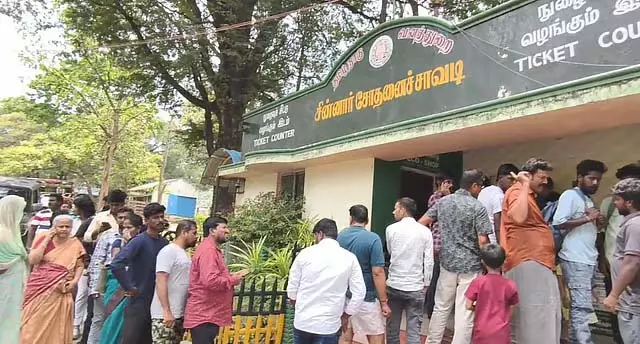 गर्मी की छुट्टियां: कोयम्बटूर कोर्टालम में उमड़े पर्यटक गर्मी की छुट्टियां: कोयम्बटूर कोर्टालम में उमड़े पर्यटक
