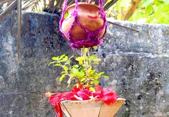 राष्ट्रपति मुर्मू, प्रधानमंत्री मोदी ने ओडिया नववर्ष पर शुभकामनाएं दीं राष्ट्रपति मुर्मू, प्रधानमंत्री मोदी ने ओडिया नववर्ष पर शुभकामनाएं दीं
