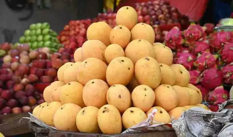 Hyderabad: सावधान रहें, प्रतिबंधित कार्बाइड से कृत्रिम रूप से पकाए गए आमों की पहचान कैसे करें Hyderabad: सावधान रहें, प्रतिबंधित कार्बाइड से कृत्रिम रूप से पकाए गए आमों की पहचान कैसे करें