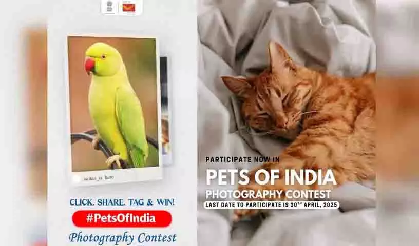 Hyderabad: 1.40 लाख रुपये के पुरस्कार के साथ भारत के पालतू जानवर प्रतियोगिता शुरू की Hyderabad: 1.40 लाख रुपये के पुरस्कार के साथ भारत के पालतू जानवर प्रतियोगिता शुरू की