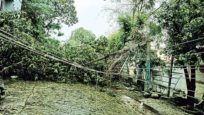 Andhra: तेज़ हवाएं ओलावृष्टि ने मचाई तबाही Andhra: तेज़ हवाएं ओलावृष्टि ने मचाई तबाही