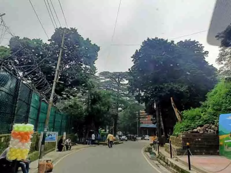 Himachal: अग्नि सुरक्षा मानदंडों में छूट दी जाए, जगह और पैसे की कमी का हवाला दिया जाए Himachal: अग्नि सुरक्षा मानदंडों में छूट दी जाए, जगह और पैसे की कमी का हवाला दिया जाए