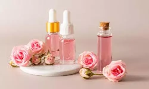 Skin Care: गुलाब जल त्वचा को देता है प्राकृतिक ठंडक, इन तरीकों से करें अपने स्किन केयर रूटीन में शामिल Skin Care: गुलाब जल त्वचा को देता है प्राकृतिक ठंडक, इन तरीकों से करें अपने स्किन केयर रूटीन में शामिल