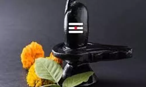 धर्म: सोमवार को महादेव को प्रसन्न करने के लिए करें इन चीजों का अभिषेक, रोग, दोष और कष्टों से मिलेगी मुक्ति धर्म: सोमवार को महादेव को प्रसन्न करने के लिए करें इन चीजों का अभिषेक, रोग, दोष और कष्टों से मिलेगी मुक्ति