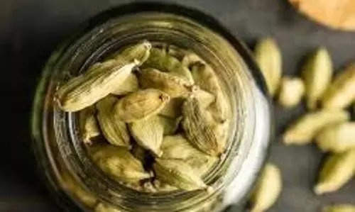 Health: गर्मियों में पाचन संबंधी समस्या हो तो पिएं इलायची का पानी, मिलेंगे फायदे Health: गर्मियों में पाचन संबंधी समस्या हो तो पिएं इलायची का पानी, मिलेंगे फायदे