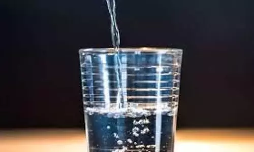 Japanese Water Therepy: यह क्या है और यह शरीर की चर्बी कैसे कम करती है