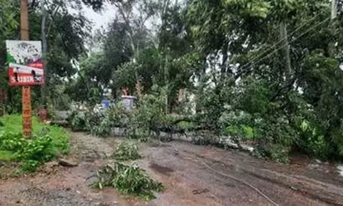 Dhanbad में आंधी-तूफान का कहर, जनजीवन अस्त-व्यस्त Dhanbad में आंधी-तूफान का कहर, जनजीवन अस्त-व्यस्त