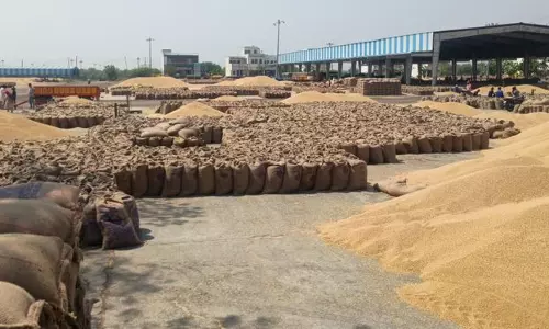 Haryana : गेहूं की आवक बढ़ी, लेकिन धीमी उठान से पानीपत, सोनीपत की मंडियां जाम