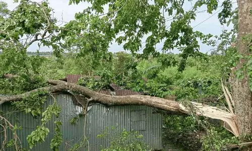 Malda-कूचबिहार में तूफान से सामान्य जनजीवन प्रभावित Malda-कूचबिहार में तूफान से सामान्य जनजीवन प्रभावित