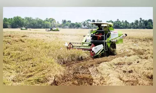 गर्मियों की बारिश से फसल को खतरा; संकट में किसान