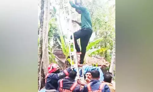 Kerala: नारियल तोड़ते समय नारियल के पेड़ में फसा युवक