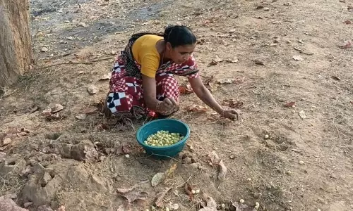 कालाहांडी में आदिवासियों का शोषण बिचौलियों द्वारा
