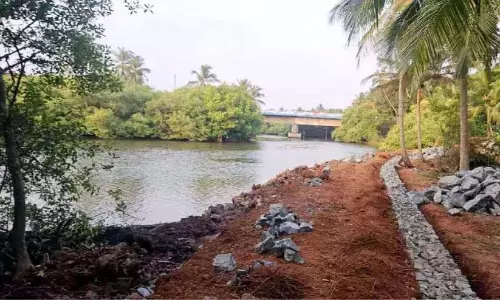 Kerala: पुल्लिकादावु-परक्कादावु नदी किनारे पथ का निर्माण शुरू Kerala: पुल्लिकादावु-परक्कादावु नदी किनारे पथ का निर्माण शुरू
