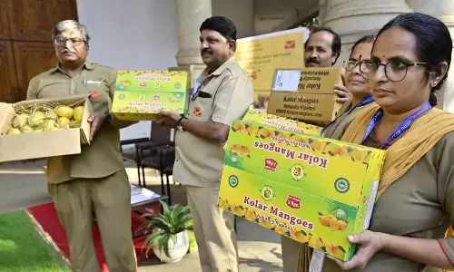 Karnataka: डाक के माध्यम से घर-घर तक आम की डिलीवरी