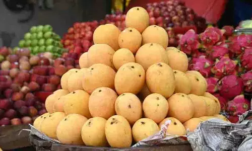 Hyderabad: सावधान रहें, प्रतिबंधित कार्बाइड से कृत्रिम रूप से पकाए गए आमों की पहचान कैसे करें Hyderabad: सावधान रहें, प्रतिबंधित कार्बाइड से कृत्रिम रूप से पकाए गए आमों की पहचान कैसे करें
