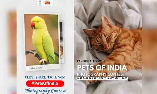 Hyderabad: 1.40 लाख रुपये के पुरस्कार के साथ भारत के पालतू जानवर प्रतियोगिता शुरू की