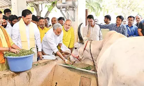 BR Naidu : गायों की मौत के संबंध में झूठे आरोप