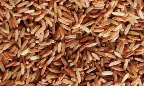 व्हाइट से ज्यादा नुकसान पहुंचाता है ब्राउन राइस, जानते हैं क्यों?