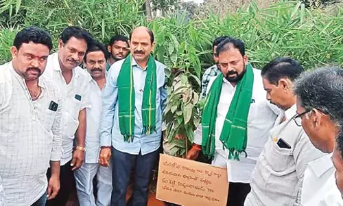 मैं हर दिन एक पेड़ लगाता हूं : विजयनगरम सांसद कालीसेट्टी प्रथिना