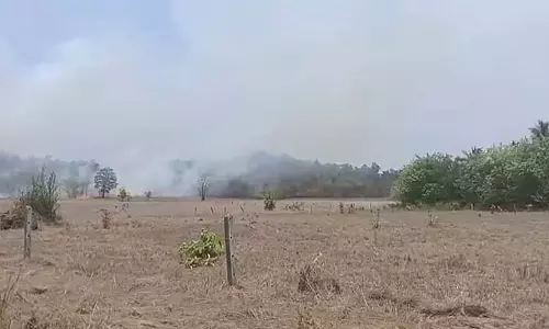 Sanguem के ओडशे डोंगोर में भीषण लगी आग Sanguem के ओडशे डोंगोर में भीषण लगी आग