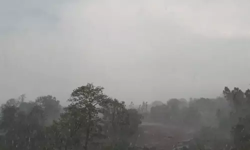 बस्तर में जमकर हो रही बारिश, वीडियो