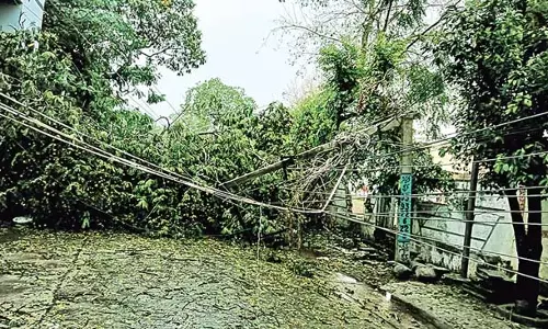 Andhra: तेज़ हवाएं ओलावृष्टि ने मचाई तबाही Andhra: तेज़ हवाएं ओलावृष्टि ने मचाई तबाही