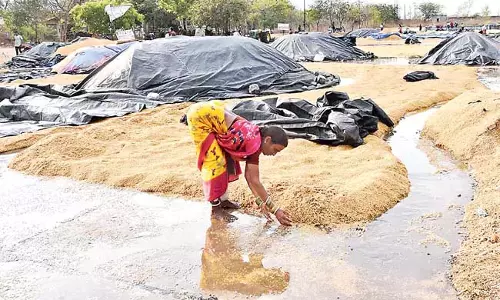 Telangana : ओले गिरने से फसलें भीग गईं