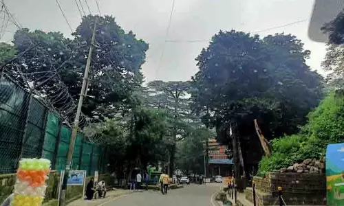 Himachal: अग्नि सुरक्षा मानदंडों में छूट दी जाए, जगह और पैसे की कमी का हवाला दिया जाए