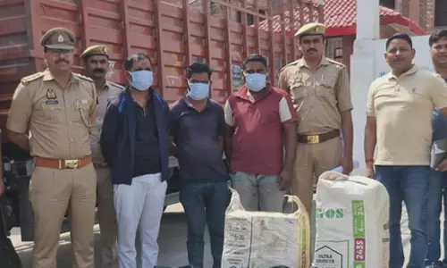 Noida: 149 किलो गांजा के साथ तीन तस्कर गिरफ्तार, पुलिस ने की बड़ी बरामदगी