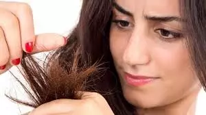 Hair Care Tips: बालों की लंबाई में बाधा बन रहे हैं दोमुंहे बाल, इन टिप्स से पाएं छुटकारा Hair Care Tips: बालों की लंबाई में बाधा बन रहे हैं दोमुंहे बाल, इन टिप्स से पाएं छुटकारा