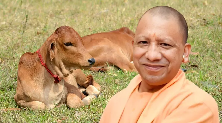 Prayagraj: यूपी सरकार ने मिनी नंदिनी कृषक समृद्धि योजना में तीन परियोजनाओं को दी स्वीकृति Prayagraj: यूपी सरकार ने मिनी नंदिनी कृषक समृद्धि योजना में तीन परियोजनाओं को दी स्वीकृति