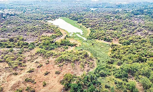 कांचागाछीबौली में 400 एकड़ जमीन राज्य सरकार की है : तेलंगाना सरकार कांचागाछीबौली में 400 एकड़ जमीन राज्य सरकार की है : तेलंगाना सरकार