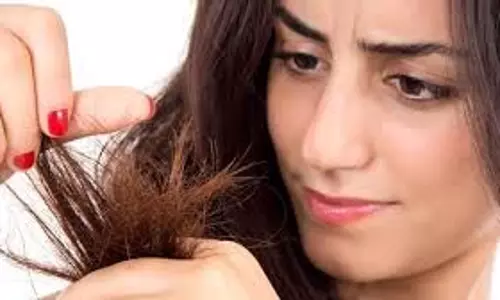 Hair Care Tips: बालों की लंबाई में बाधा बन रहे हैं दोमुंहे बाल, इन टिप्स से पाएं छुटकारा Hair Care Tips: बालों की लंबाई में बाधा बन रहे हैं दोमुंहे बाल, इन टिप्स से पाएं छुटकारा