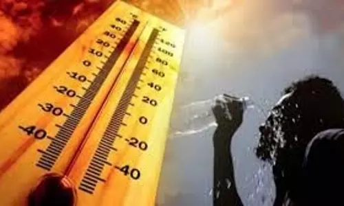 Rajasthan Weather :  भीषण गर्मी का असर,  लू की चेतावनी