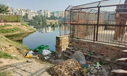 Delhi स्मारकों पर असामाजिक तत्वों का साया, संरक्षण पर सवाल